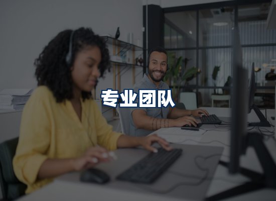 专业团队