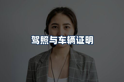 车辆证明展示